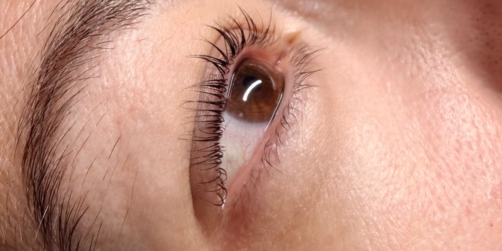 Lashes after a lash lift and tint by The Nail Editor