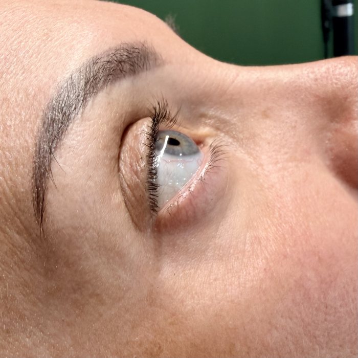 Lifted and tinted lashes by The Nail Editor