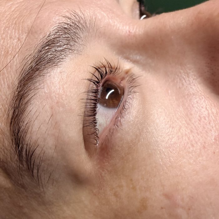 Lifted and tinted lashes by The Nail Editor
